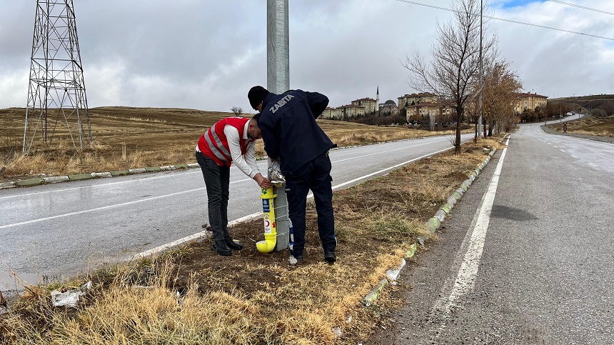 Bünyan Sokak Hayvanları (2)