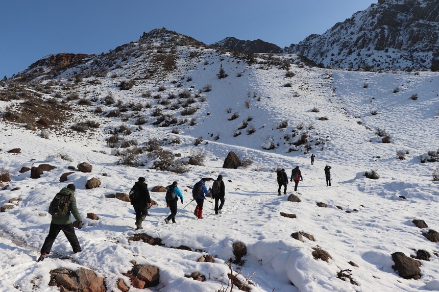 Erzurum Yabani Hayat (2)