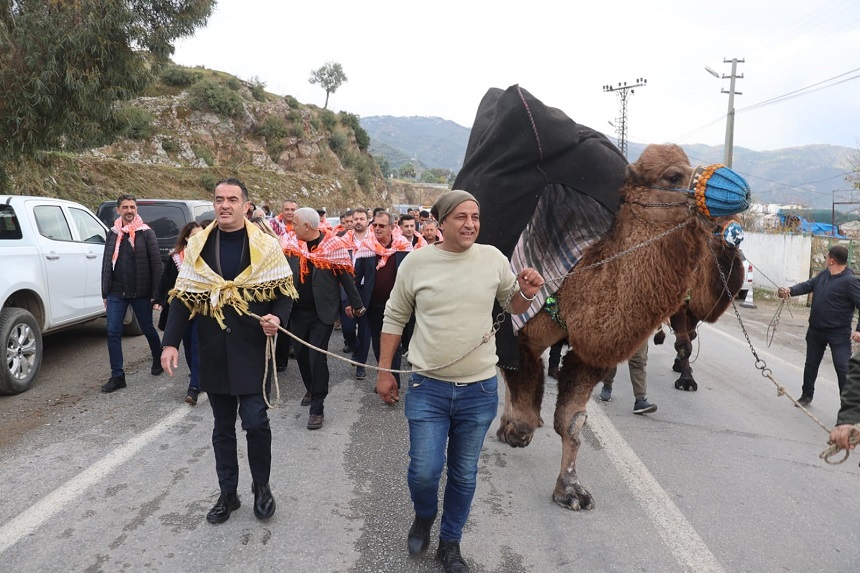 Koçarlı Deve Güreşi (1)