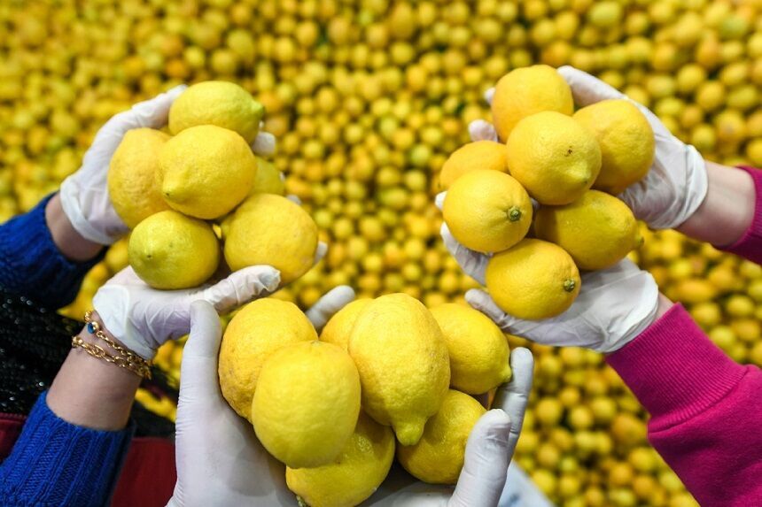 Limon-2