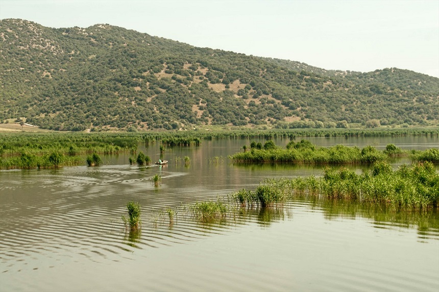 Selçuk Belvi (1)