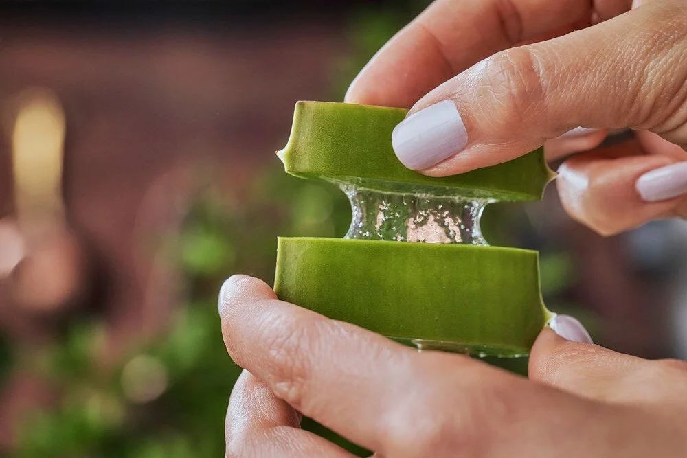 Aloe