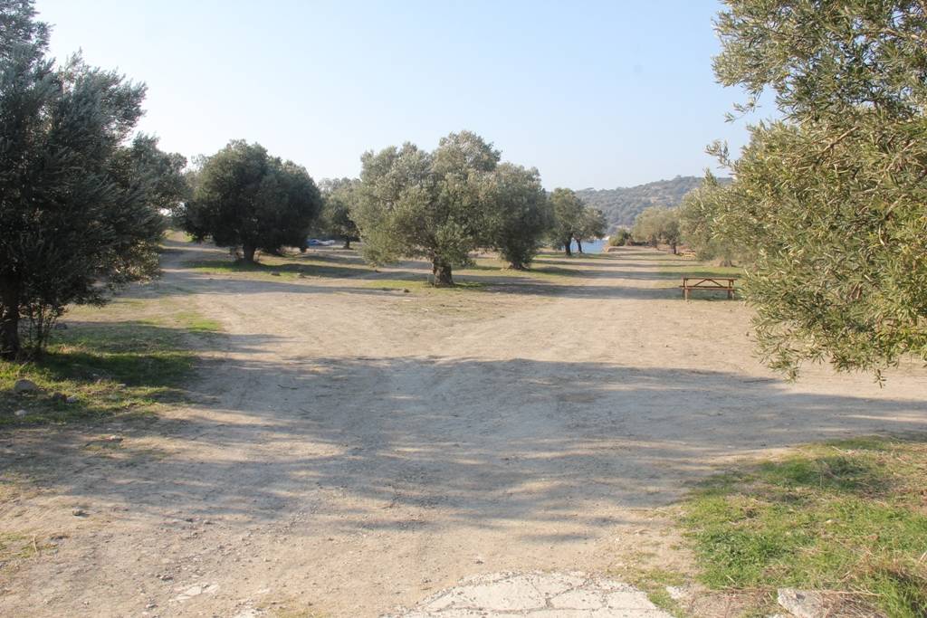 Bademli Deniz Ilıcası2