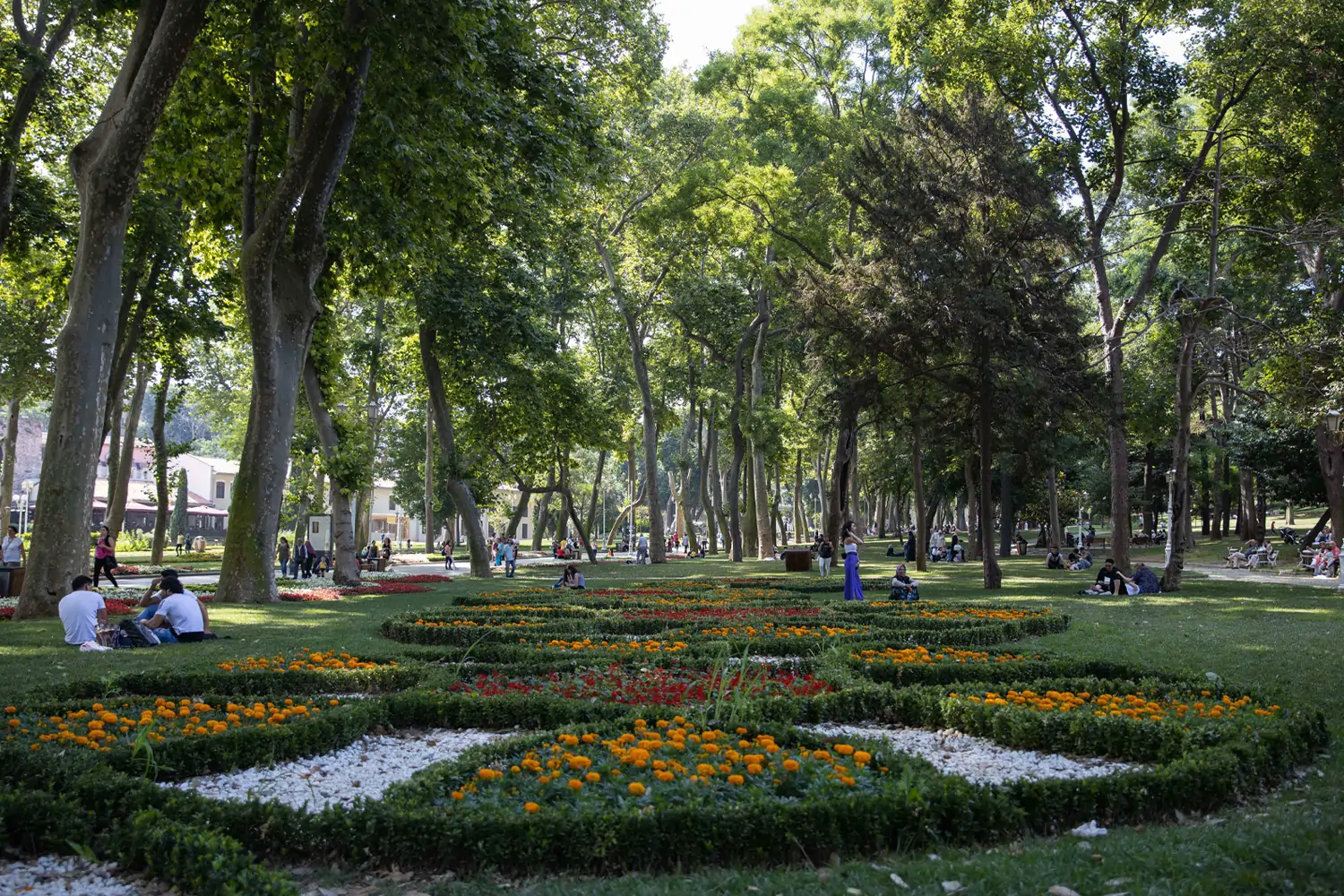 Gülhane3