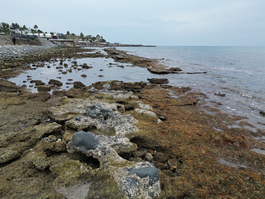 Hatay 20 Metre Deniz Çekildi (1)