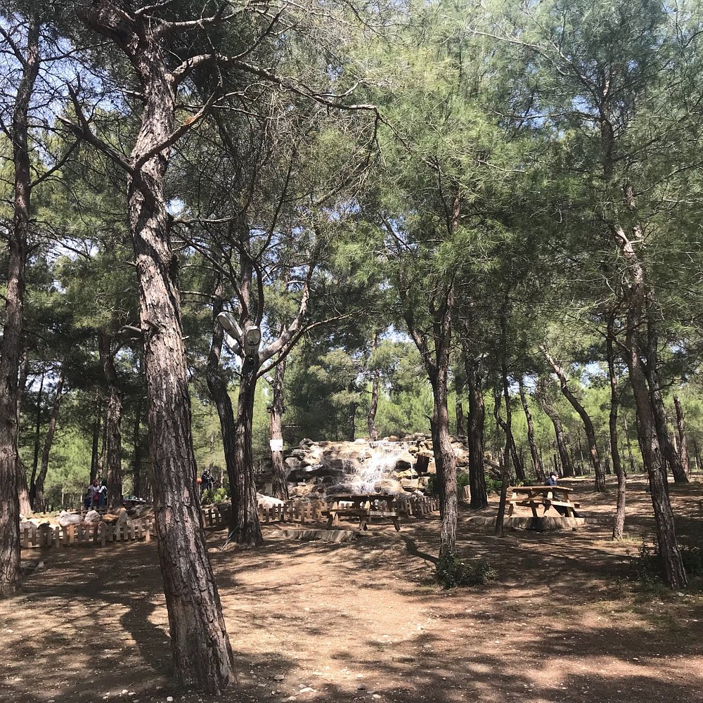 Kemalpasa Belediyesinin