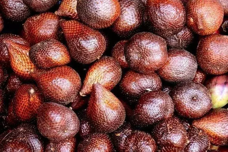 Yılan1