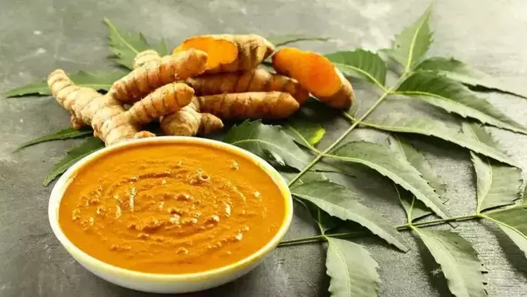 Zerdeçal1