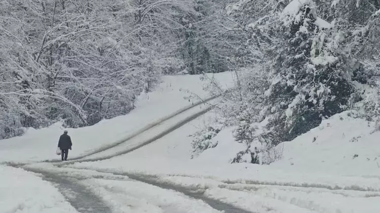 Zonguldak2