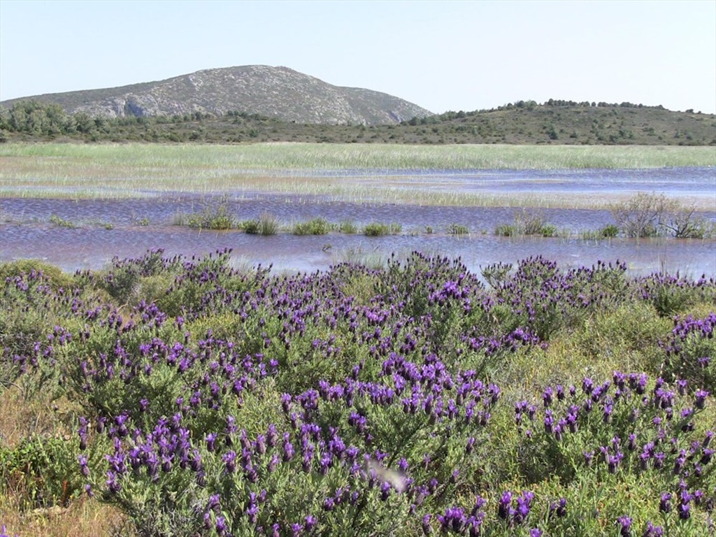 09122020 024856 İris Gölü Karaburun.jpg5