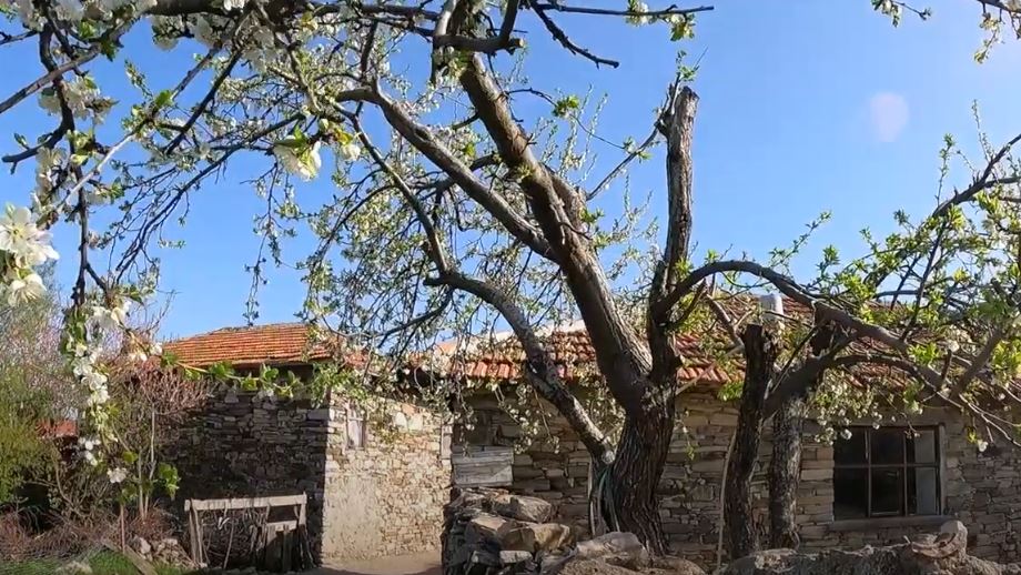 Çamlıca Köyü Çanakkale Köyü
