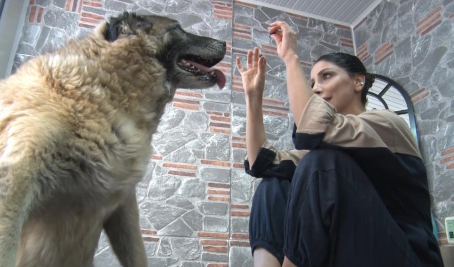 Duman 2