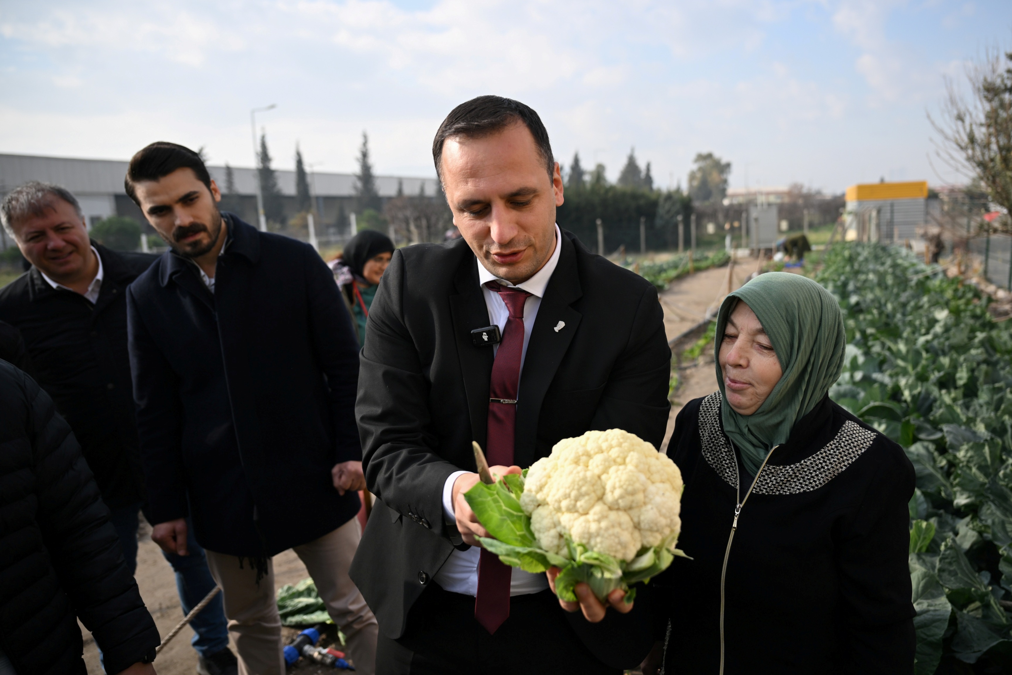 Kent Bostanında Hasat (1)-1