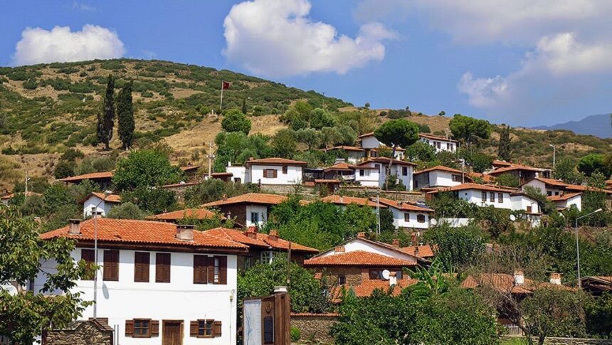 Ödemiş Birgi-3