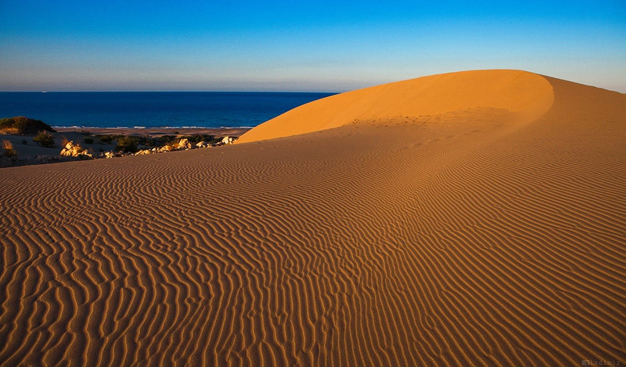 Patara Antalya