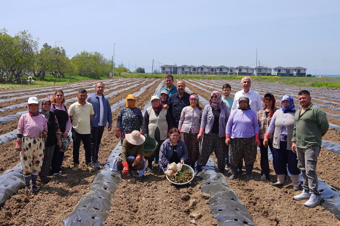 Ayvalık Üretim Ve Pazarlama Kooperatifi (7)