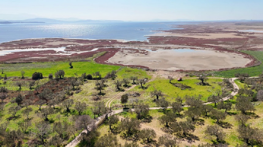 Bergama Elaia (1)