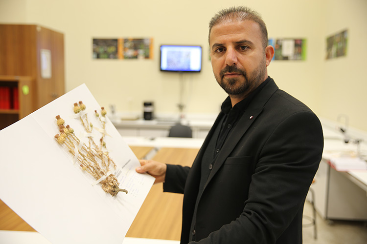 Erbilkızanı3