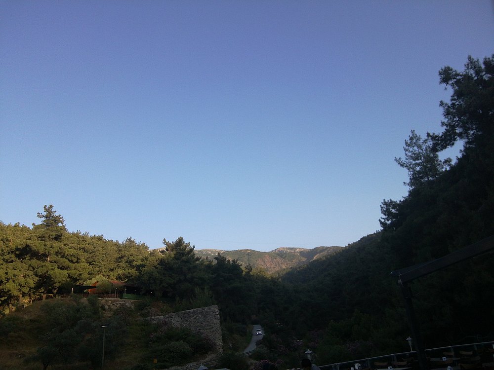 Mesi̇r Tabi̇at Parki (1)-1