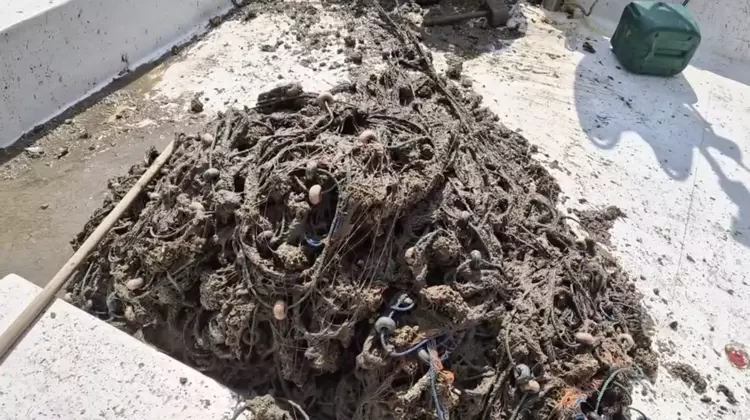 Müsilaj Av Sezonunu Kapattı