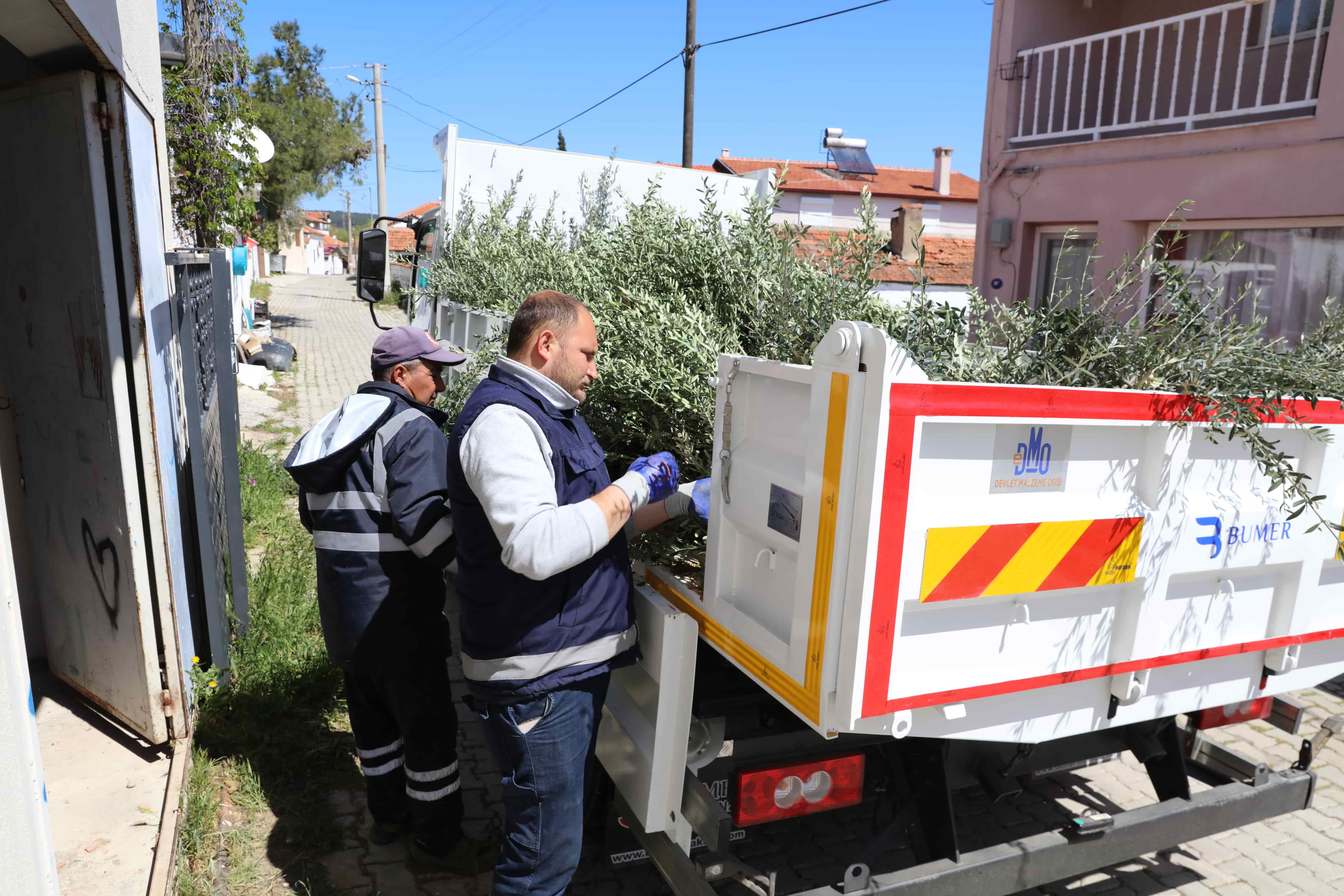 Urla’da Zeytin Üreticisine 7 Bin Fidan Desteği (5) Min