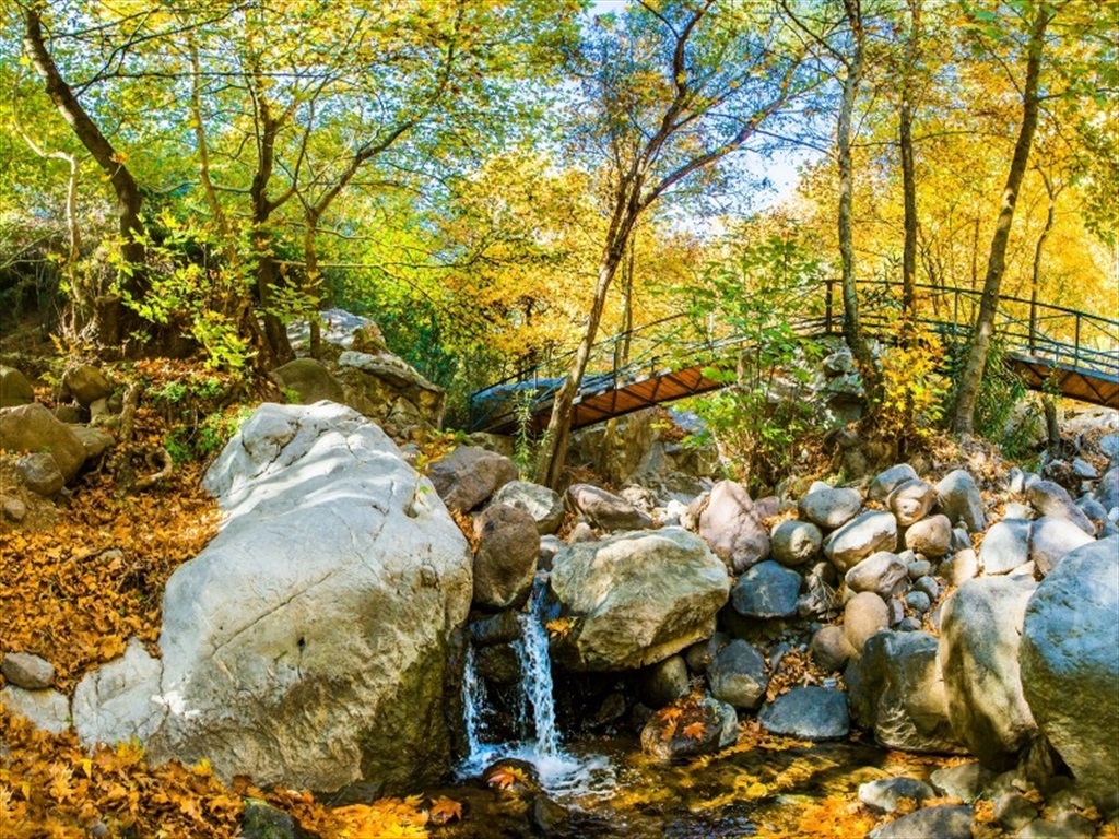24102022 113202740 1 Hoımeros
