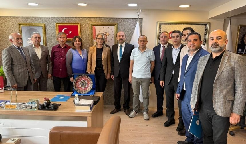 Ceyda2-1