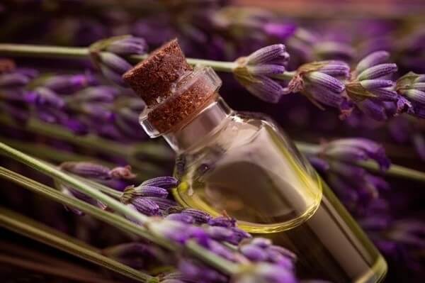 Closeup Lavander Oil Liquid Bottle 600W 2180940725 Transformed