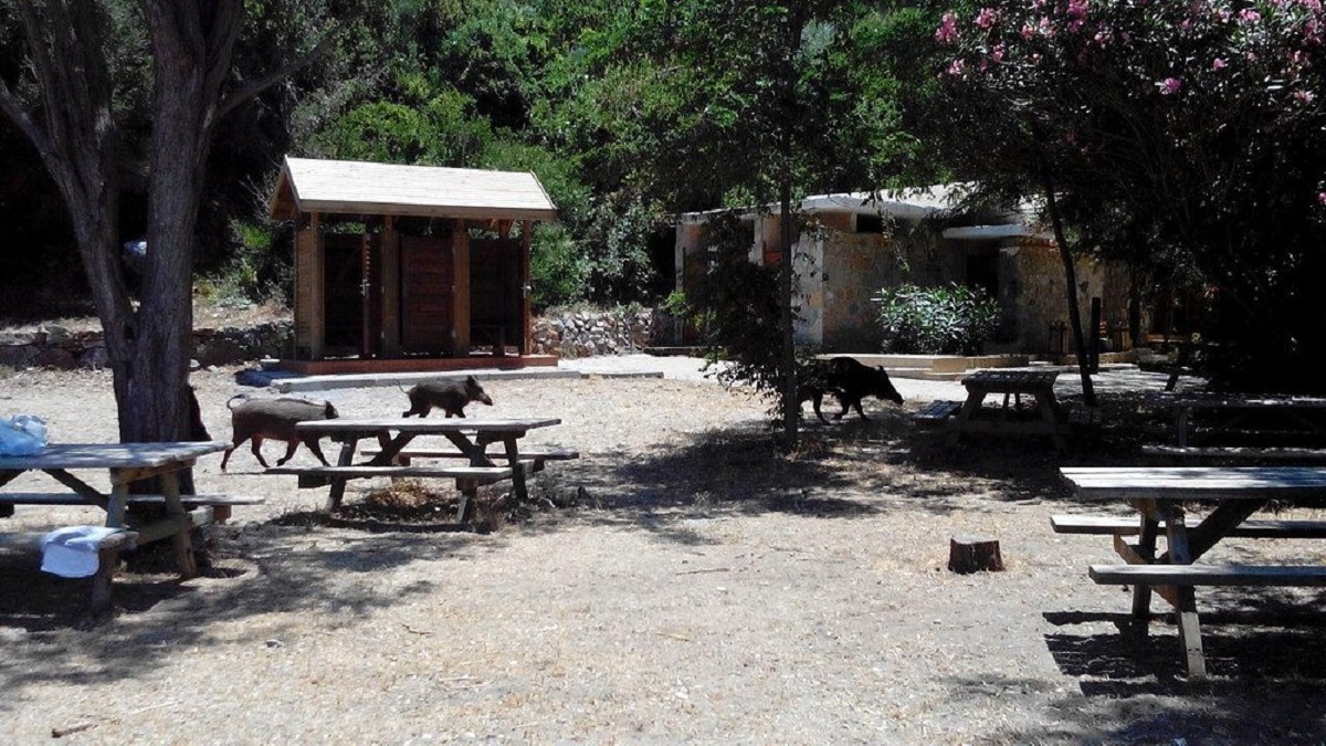 Güzelçamlı Milli Parkı (3)