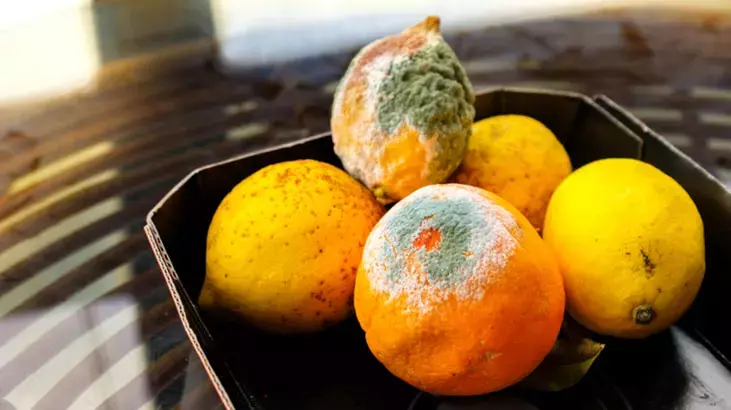 Limon Küf3