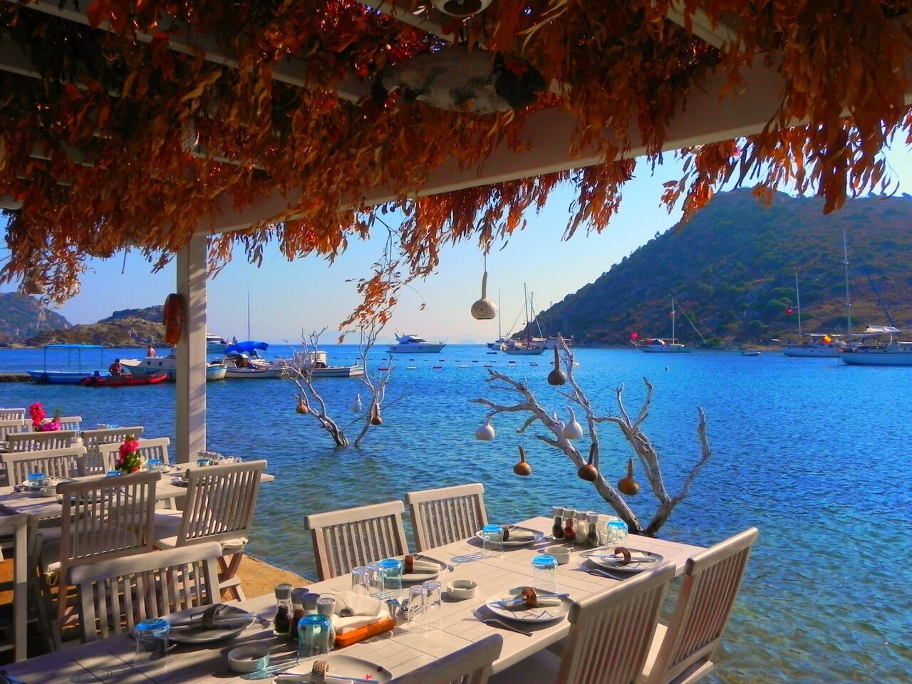 Marmari̇s Söğüt (3)