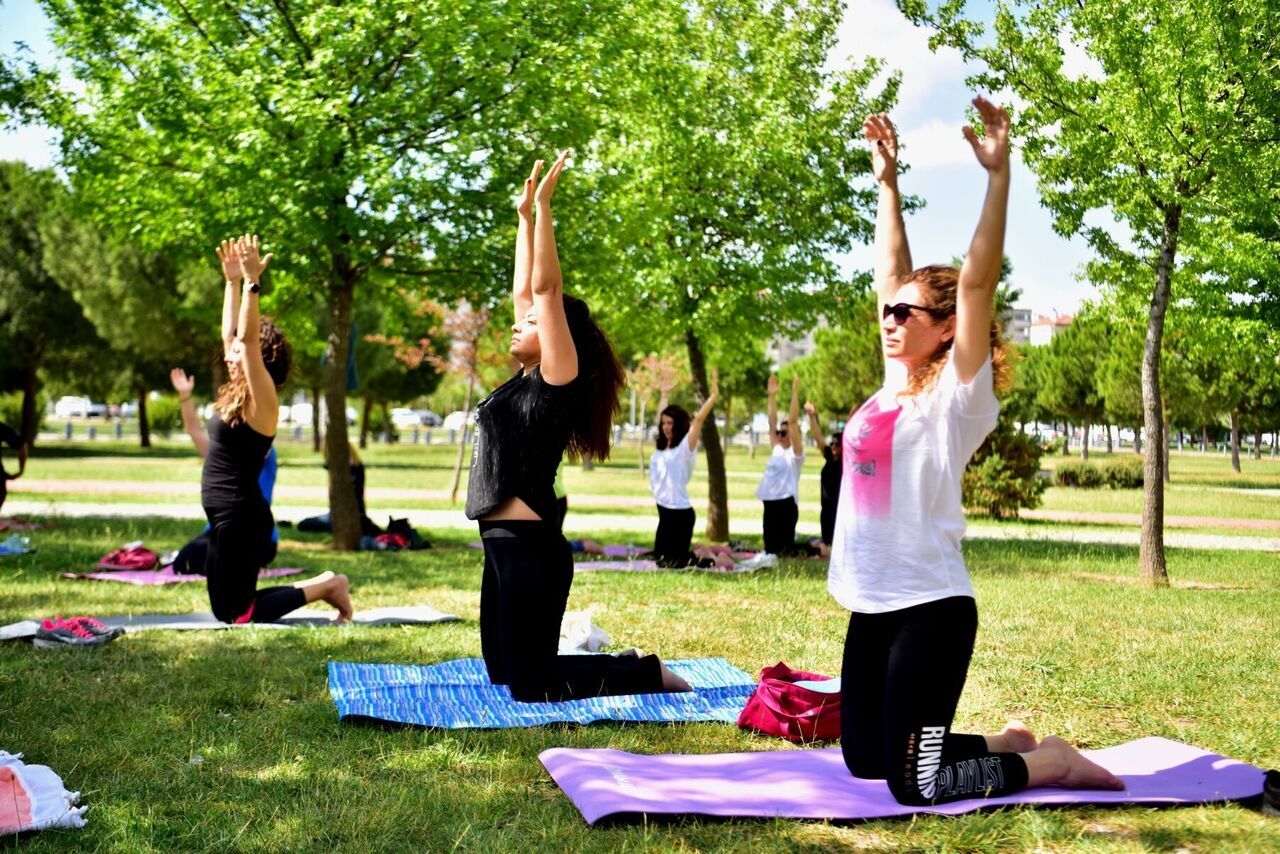 Mus Yoga (2)