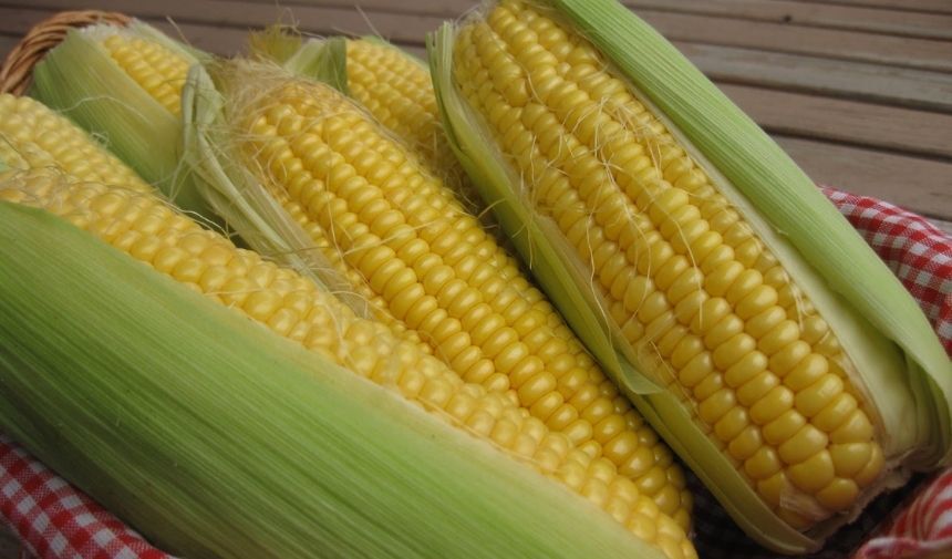 2-389