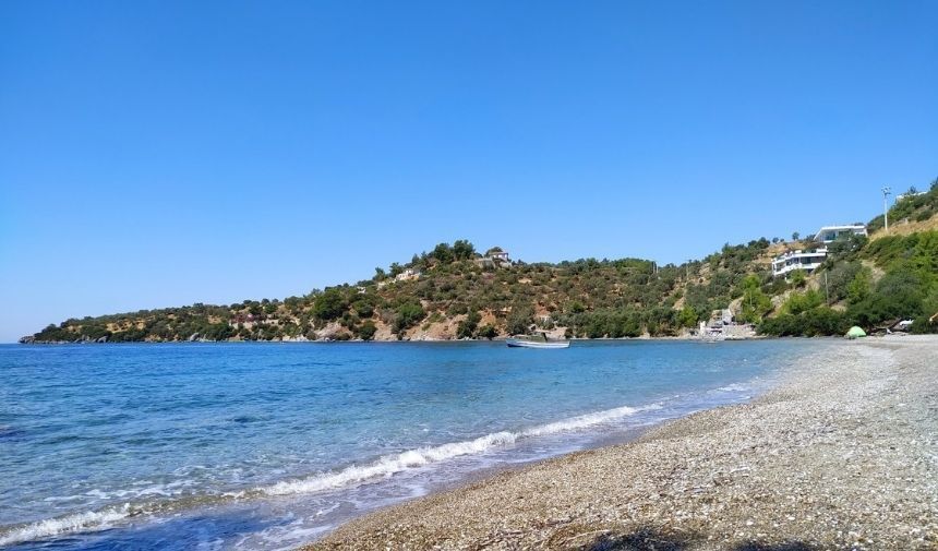 Ilgın Koyu (1)