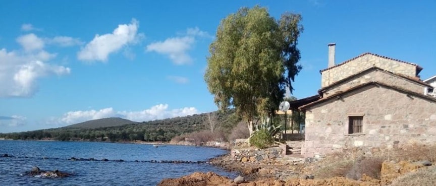 Patriça Koyu3