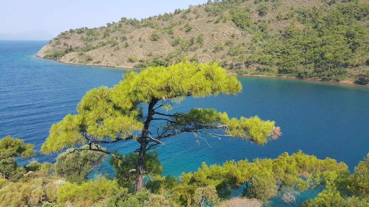 Bördübet 2