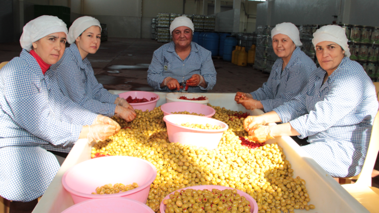 Yeşi̇l Zeyti̇n
