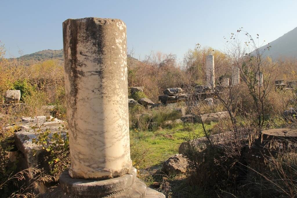 Efes Liman Hamamları (Selçuk) (1)