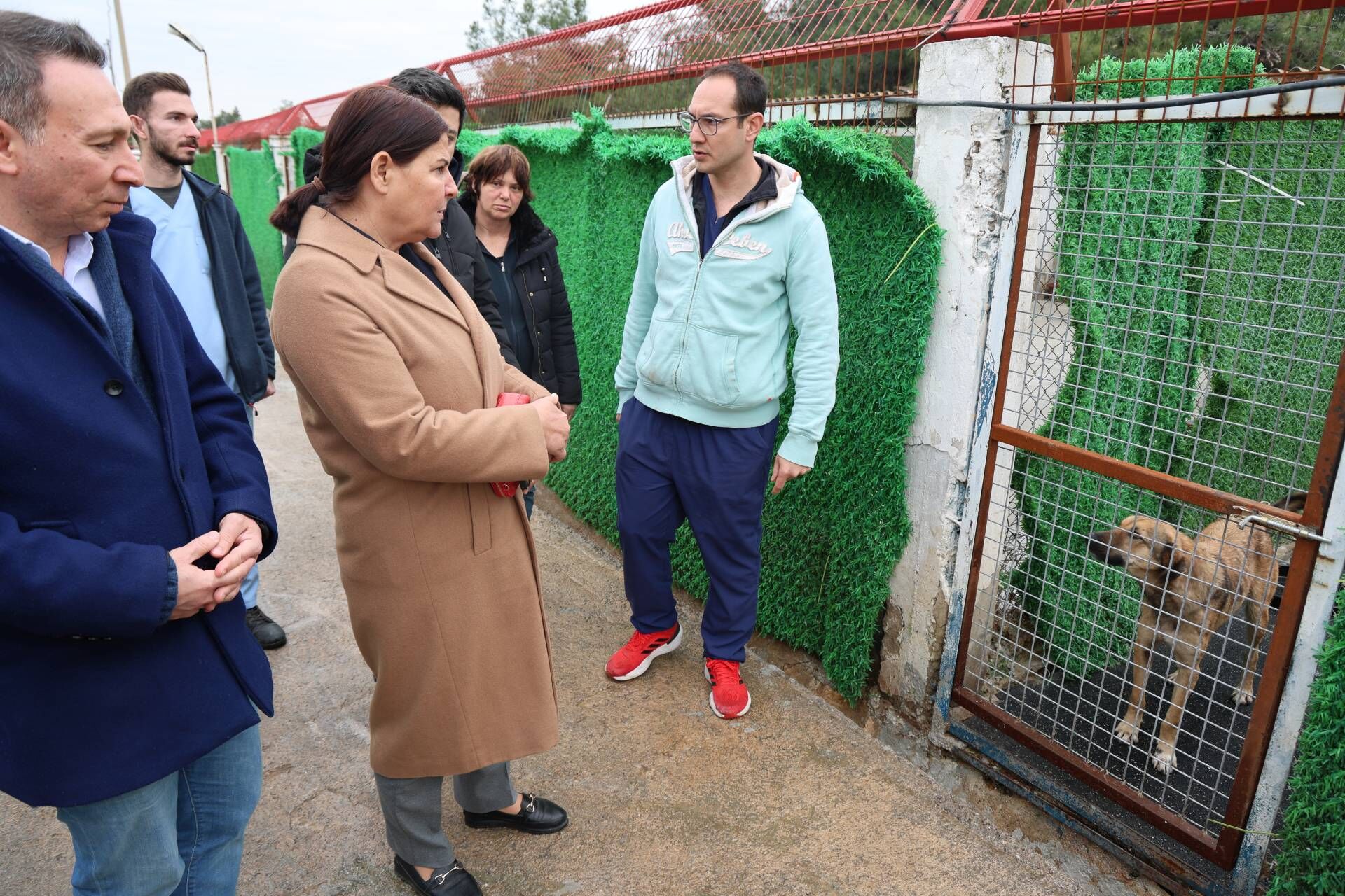 Foça Belediyesi’nden Sokak Hayvanları Için Yeni Planlama (2)