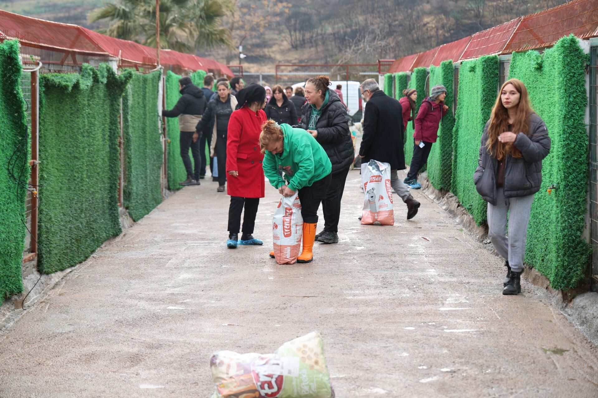 Foça Belediyesi’nden Sokak Hayvanları Için Yeni Planlama (4)