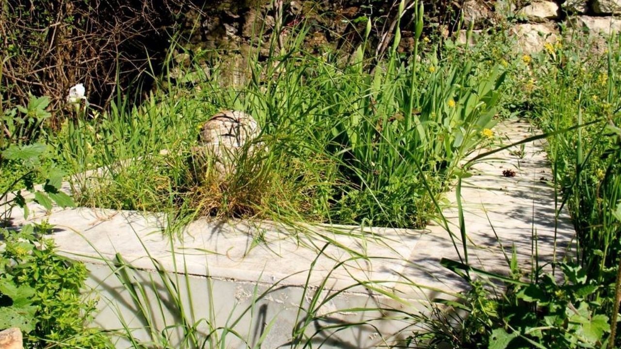 İzmir'de Dileklerin Yerine Geldiğine Inanılan O Yer Süt Dede Kimdir (3)