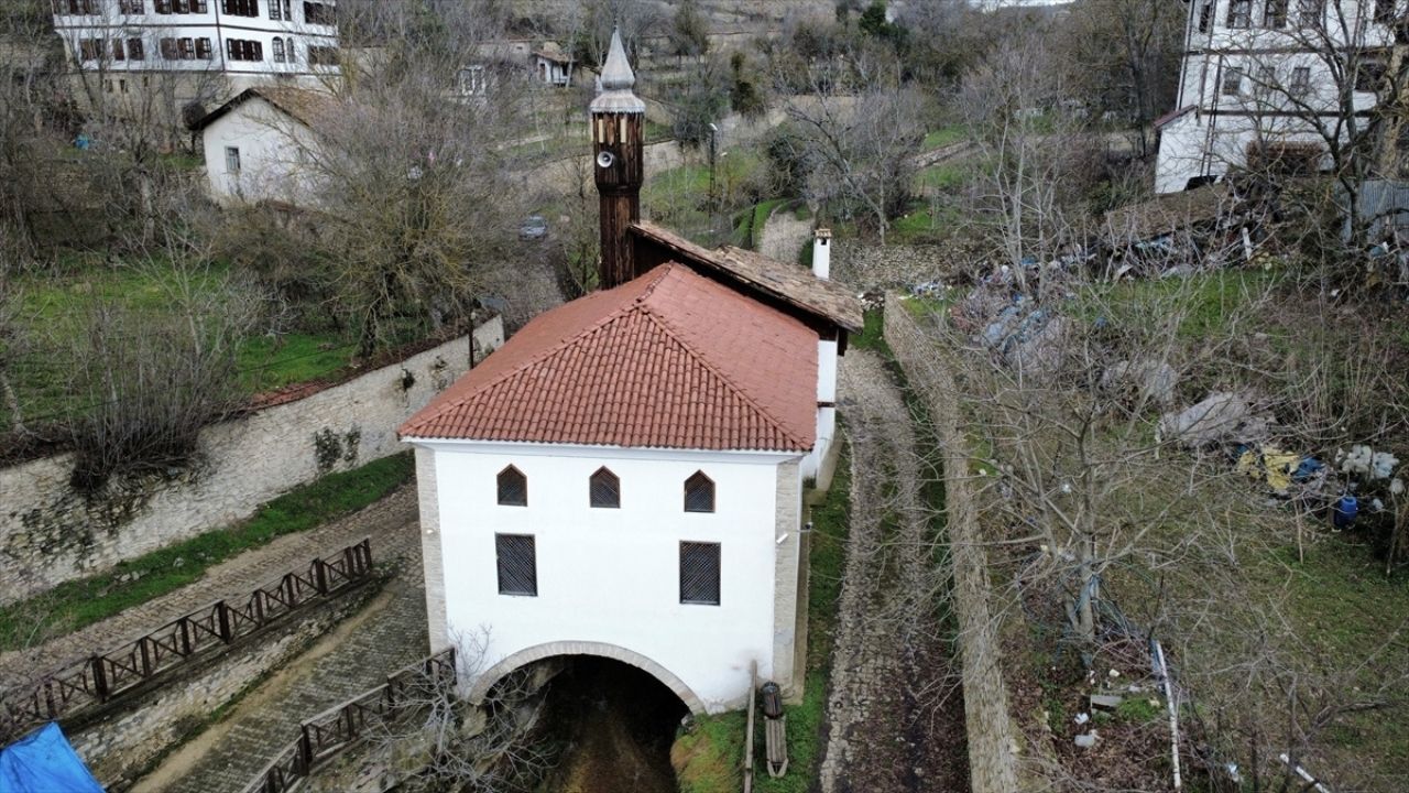 Cami1