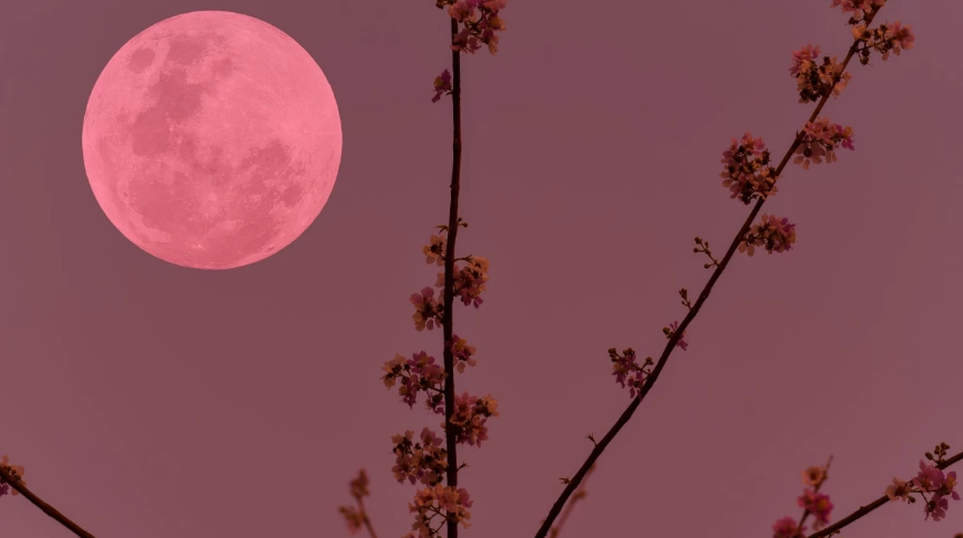 Pembe Dolunasy