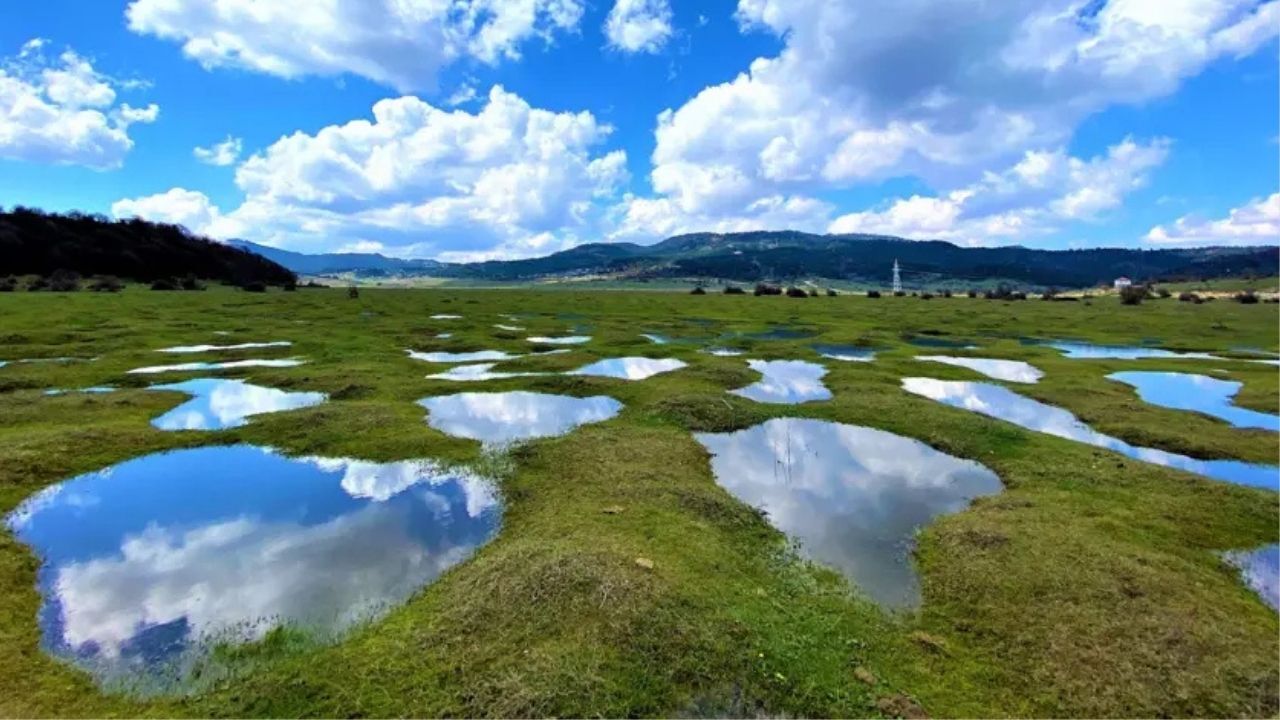 Yayla11