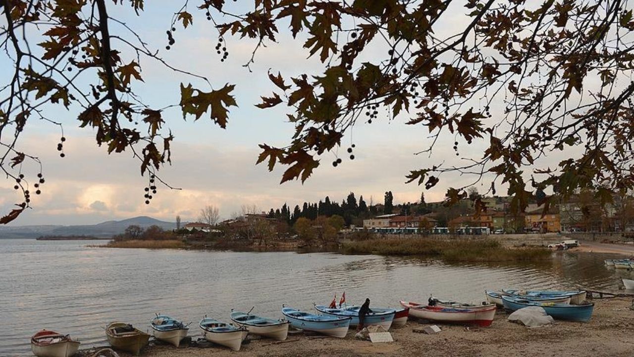 Gölyazııı