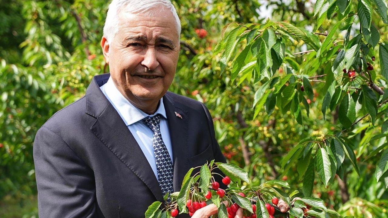 Işın Karaca Ve Gazapizm Kemalpaşa’ya Geliyor İşte Gün Gün Festival Program (2)