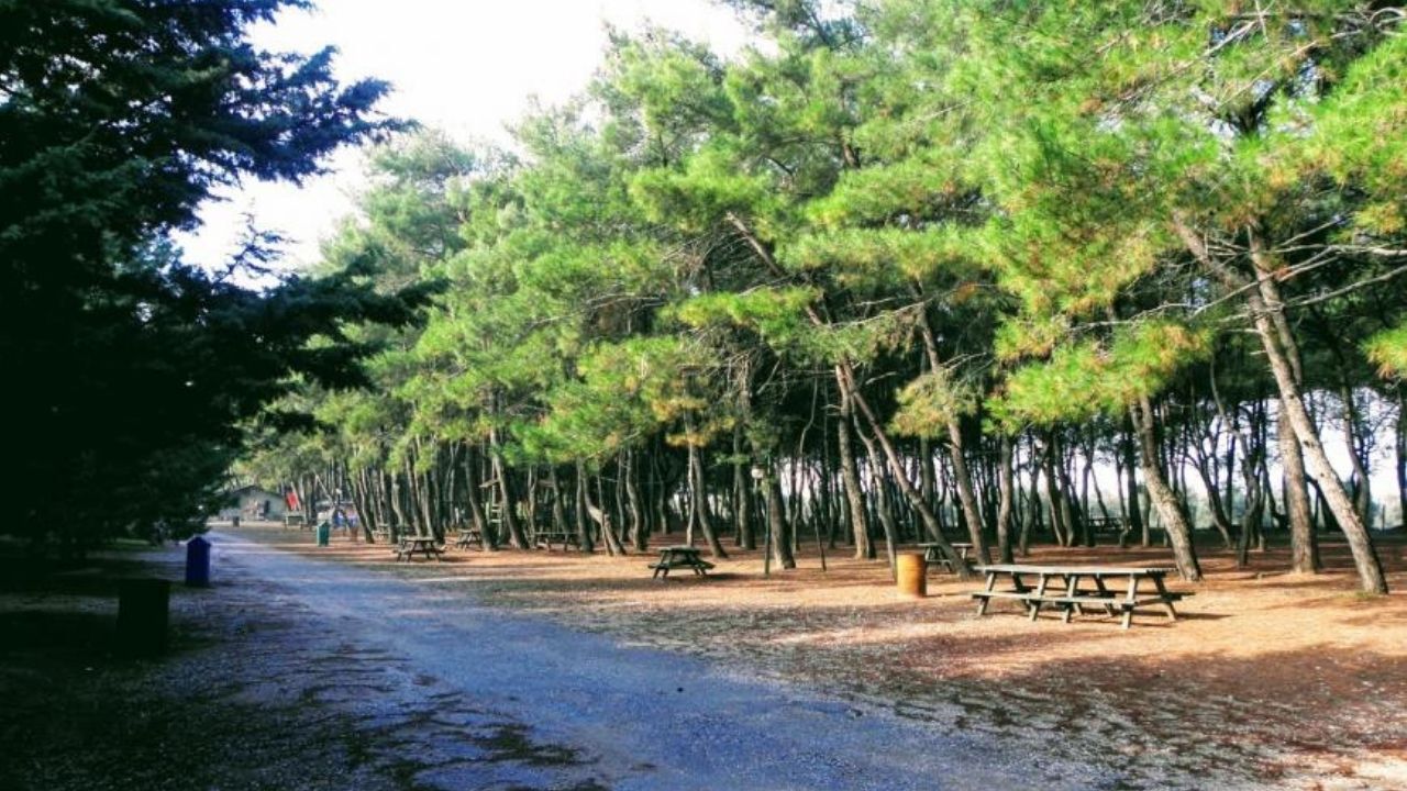 İzmir'de Günübirlik Kaçıs Rotası! Doğanın Içinde, Sessizlik Ve Huzur Arayanların Yeni Adresi Efeoğlu Tabiat Parkı (1)