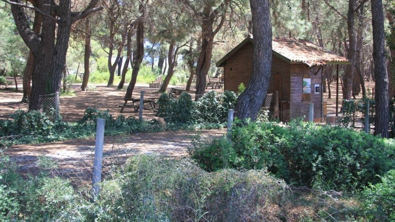 İzmir'de Günübirlik Kaçıs Rotası! Doğanın Içinde, Sessizlik Ve Huzur Arayanların Yeni Adresi Efeoğlu Tabiat Parkı (3)