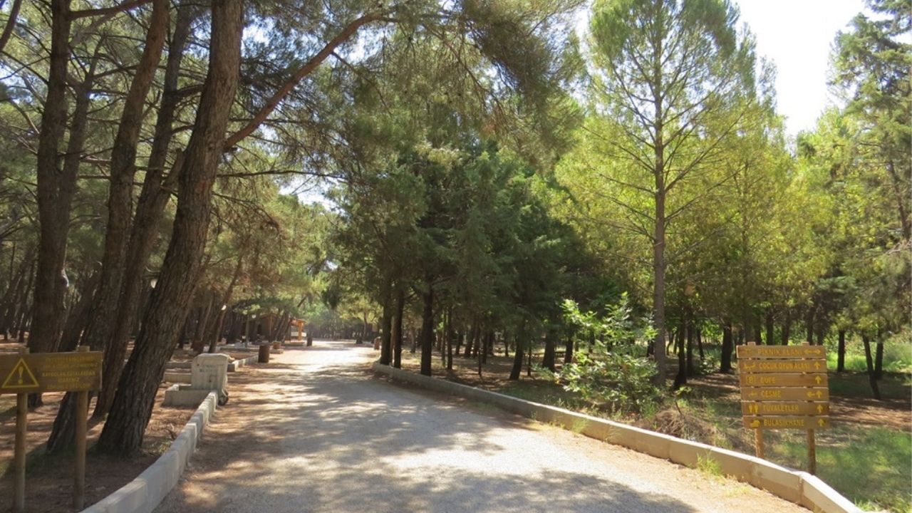 İzmir'de Günübirlik Kaçıs Rotası! Doğanın Içinde, Sessizlik Ve Huzur Arayanların Yeni Adresi Efeoğlu Tabiat Parkı (4)