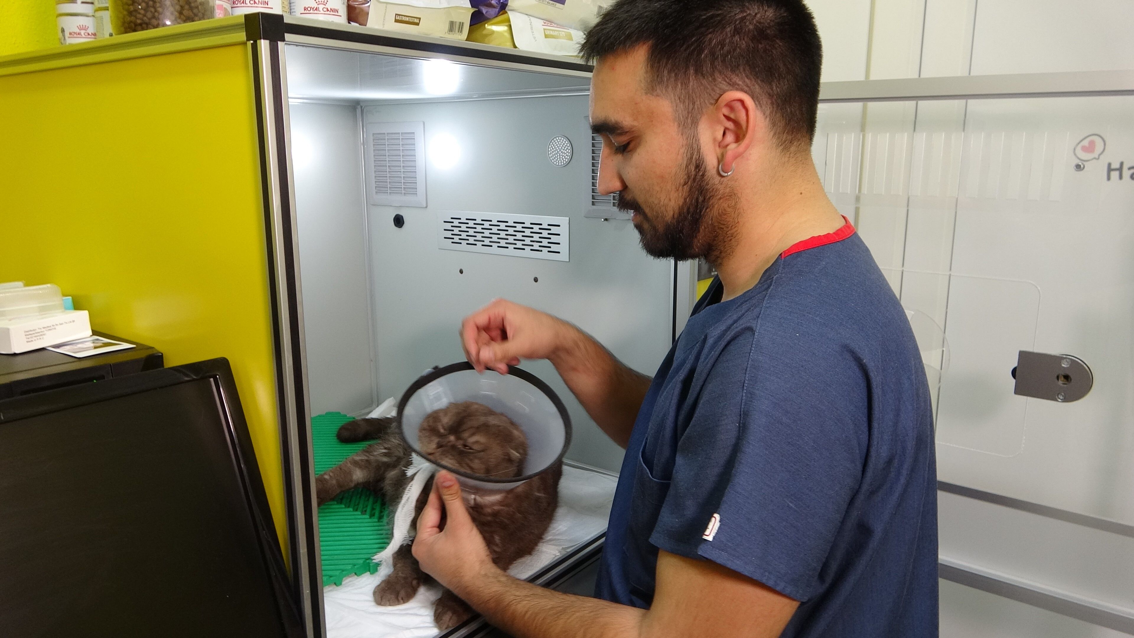 Kurban Atıklarını Sokak Hayvanlarına Verenler Dikkat! Uzmanı Uyardı Hastalık Bulaştırabilir (2)